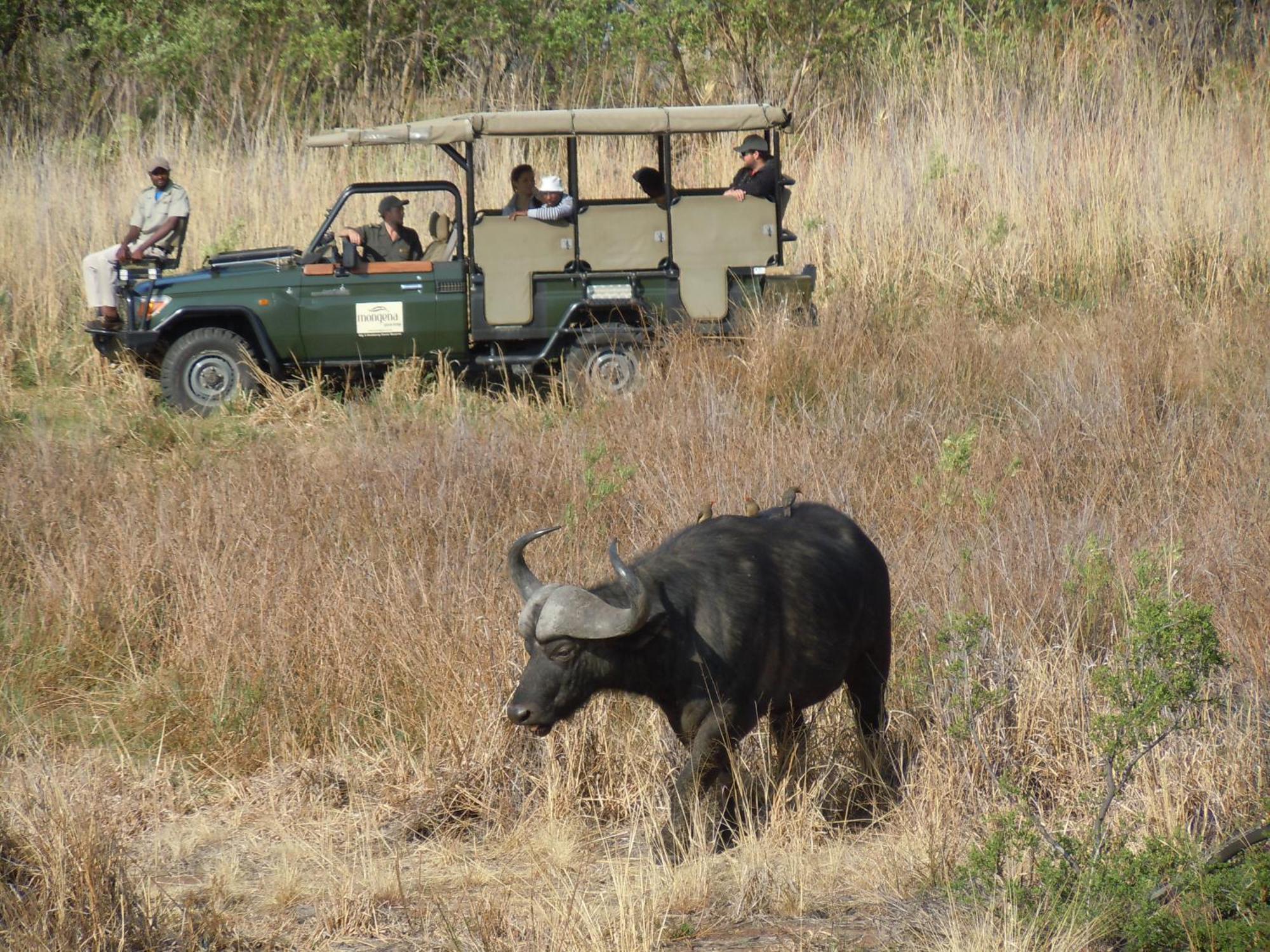 Little Mongena Tented Camp Klipdrift Exterior foto